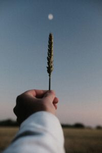 Mediation in familiebedrijven